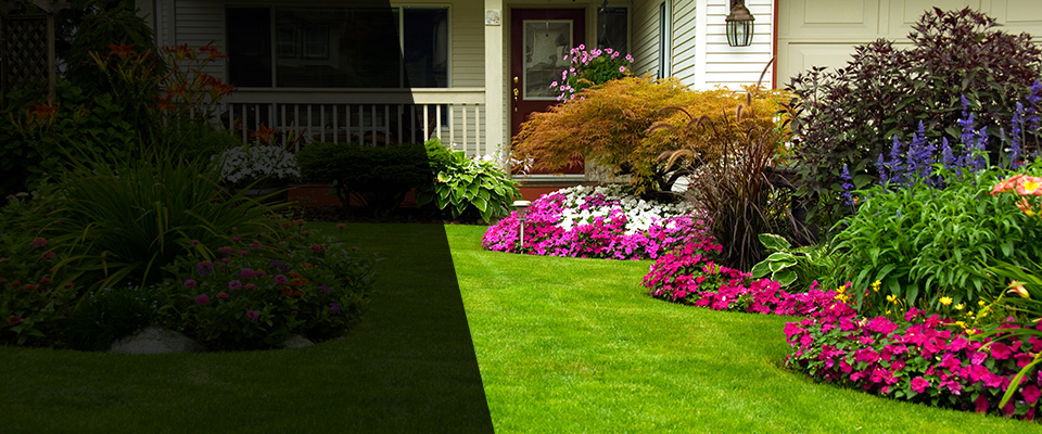 Tama Landscapers
