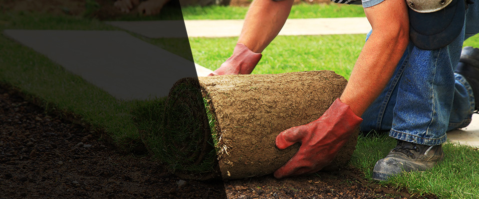 Tama Landscapers